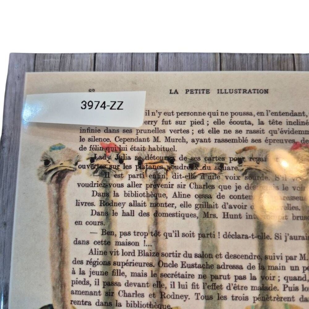 Ostriches in Vintage Bathing Suits Coco De Paris 300 Piece Jigsaw Puzzle NIB NEW - Picture 4 of 6